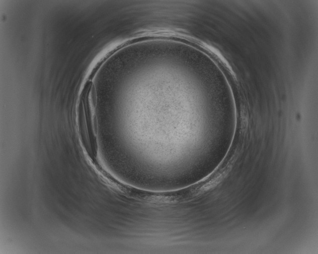 X0000086291424200704090944