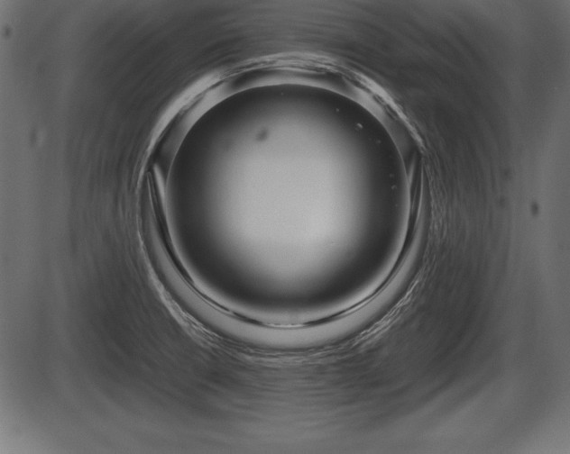 X0000086291426200704090944