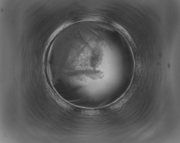 X0000086291427200704090944