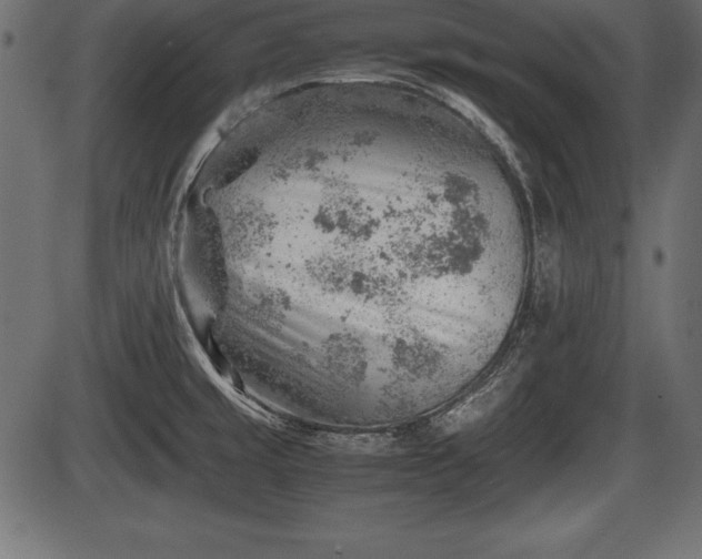 X0000086291429200704090944