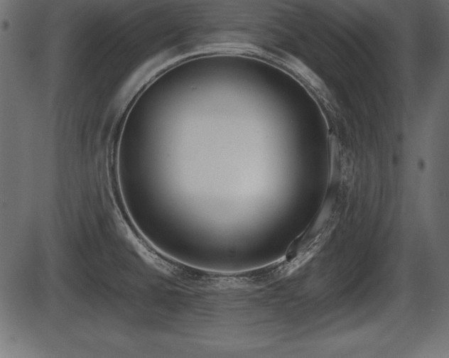 X0000086291430200704090944
