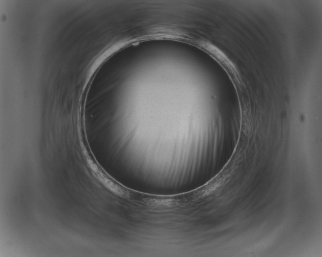 X0000086291431200704090944