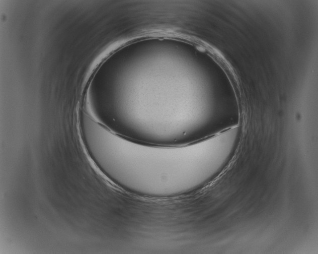 X0000086291432200704090944