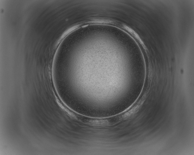 X0000086291433200704090944