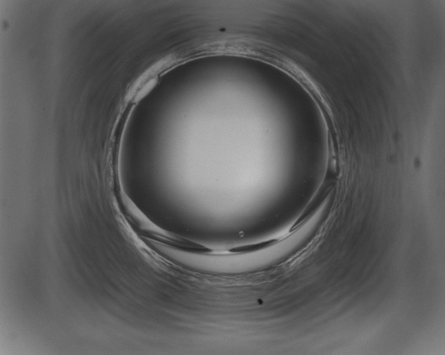X0000086291434200704090944