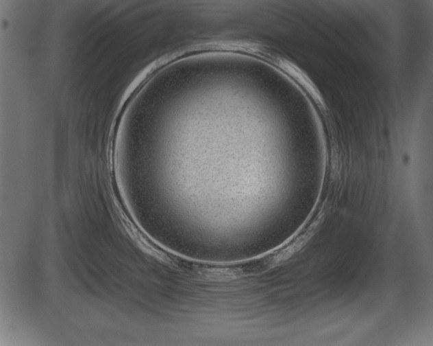 X0000086291436200704090944
