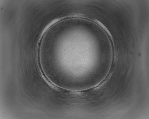 X0000086291437200704090944