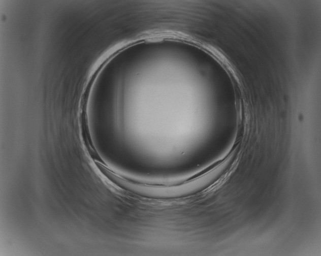 X0000086291438200704090944