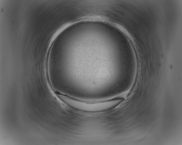 X0000086291440200704090944