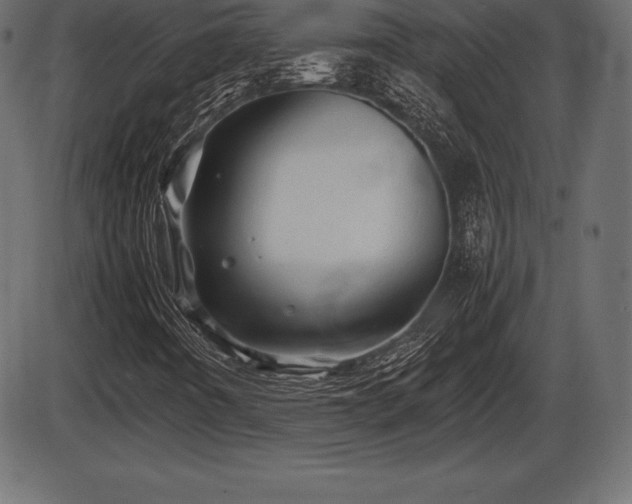 X0000086291442200704090943