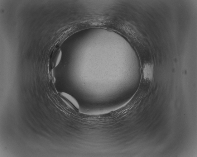 X0000086291444200704090943