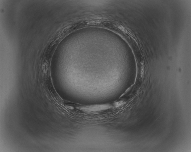 X0000086291445200704090943