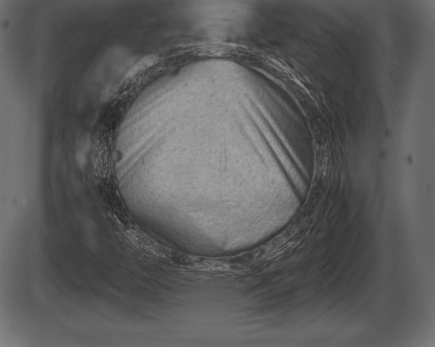 X0000086291446200704090943