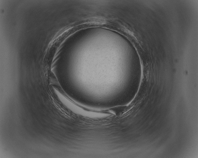 X0000086291448200704090943