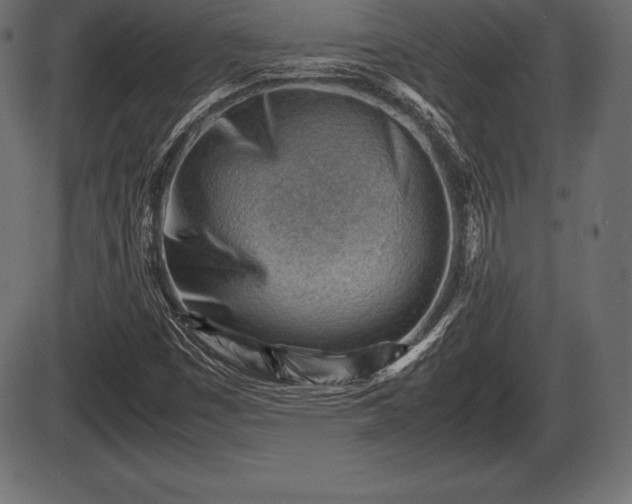 X0000086291449200704090943