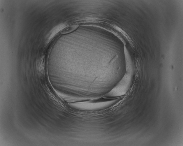 X0000086291450200704090943