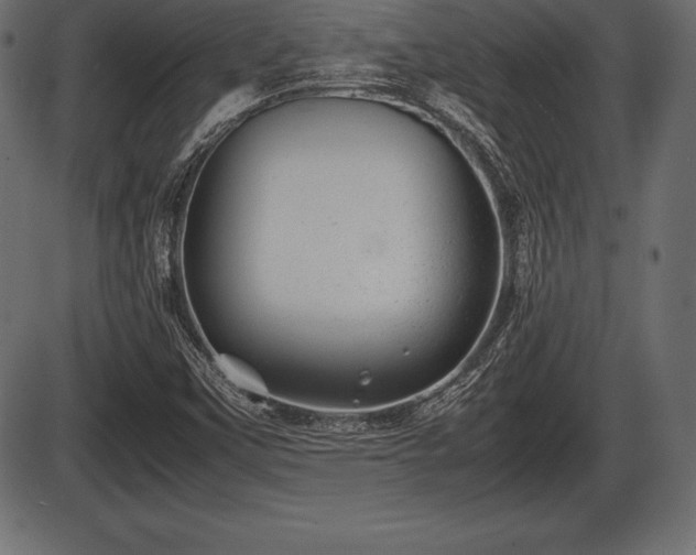 X0000086291451200704090943