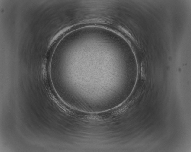 X0000086291452200704090943