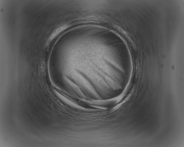 X0000086291453200704090943
