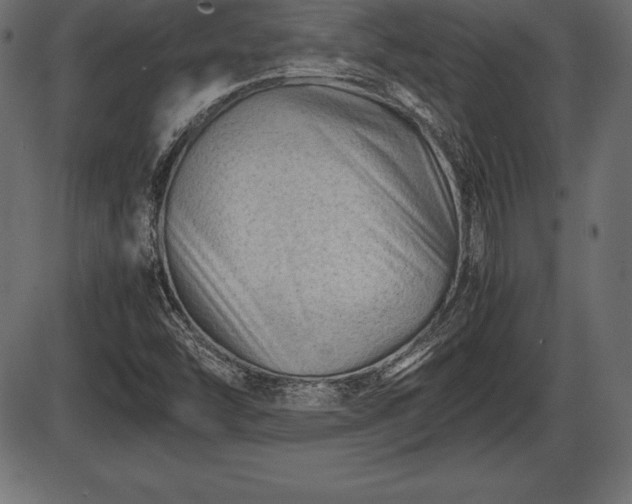X0000086291454200704090943