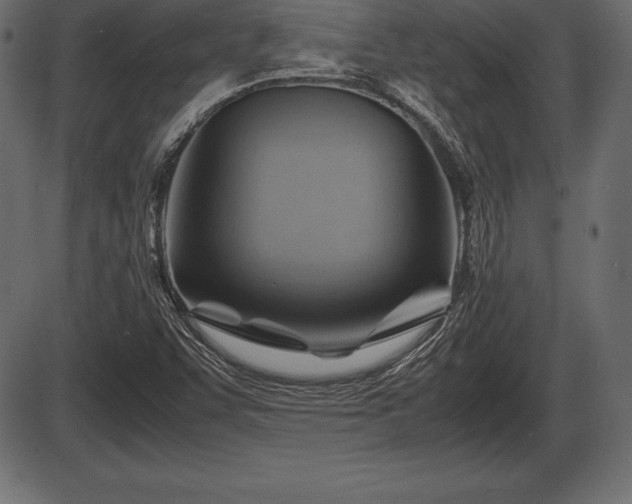X0000086291455200704090943