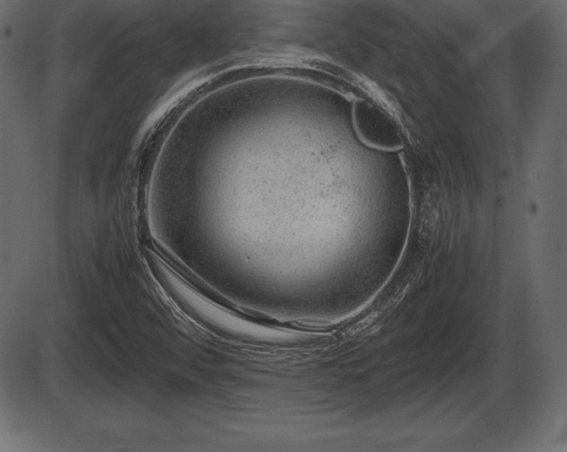 X0000086291456200704090943