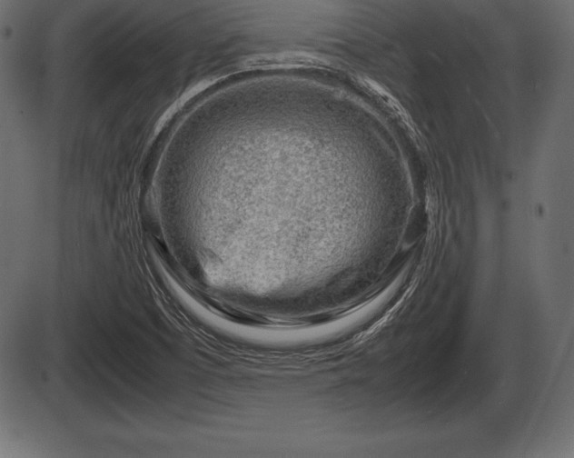 X0000086291457200704090943
