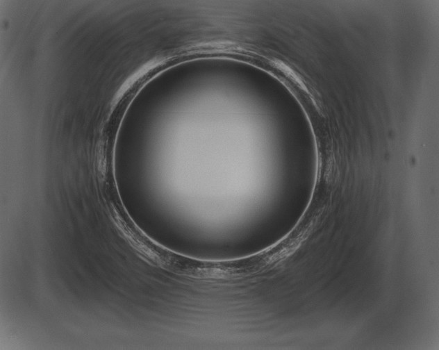 X0000086291458200704090943