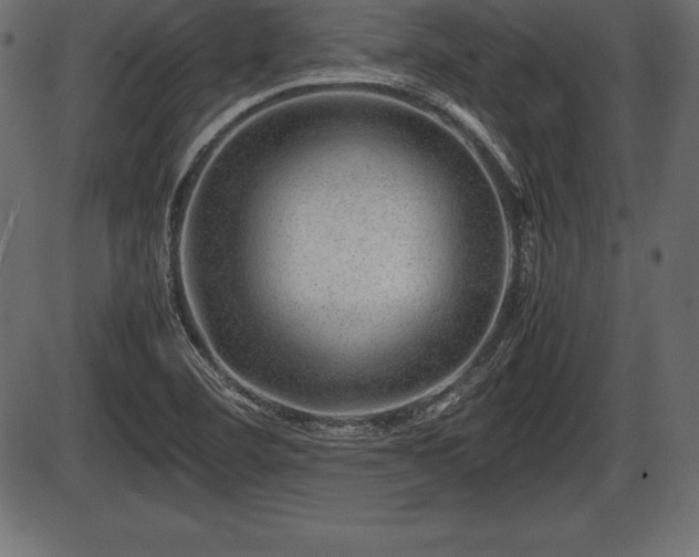 X0000086291460200704090943