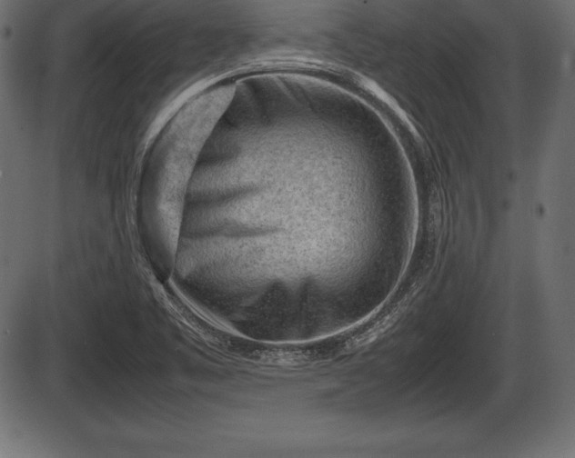 X0000086291461200704090943
