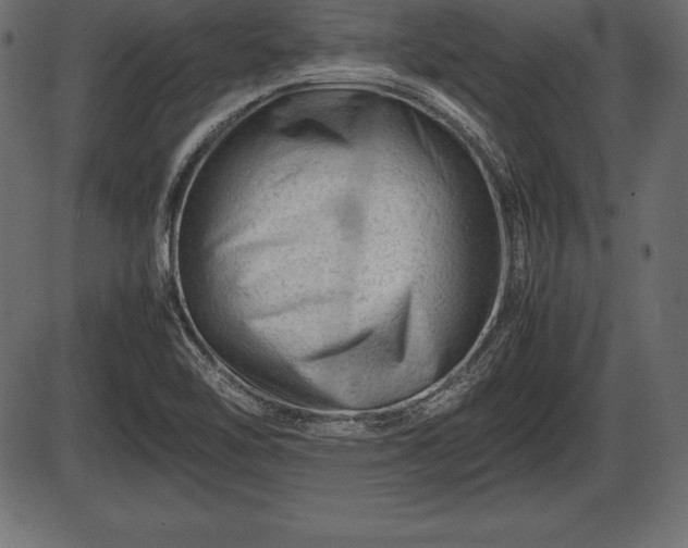 X0000086291462200704090943