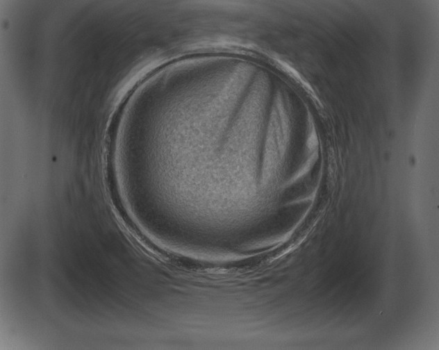 X0000086291463200704090943