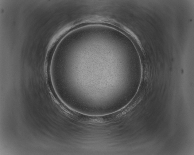 X0000086291464200704090943