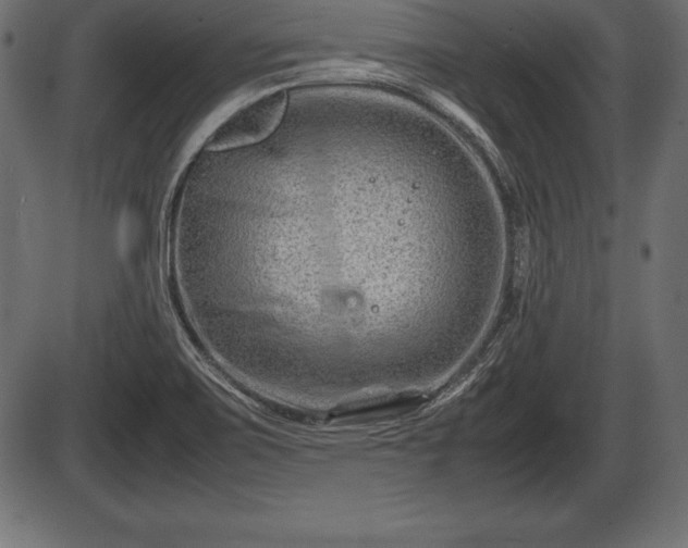X0000086291467200704090943