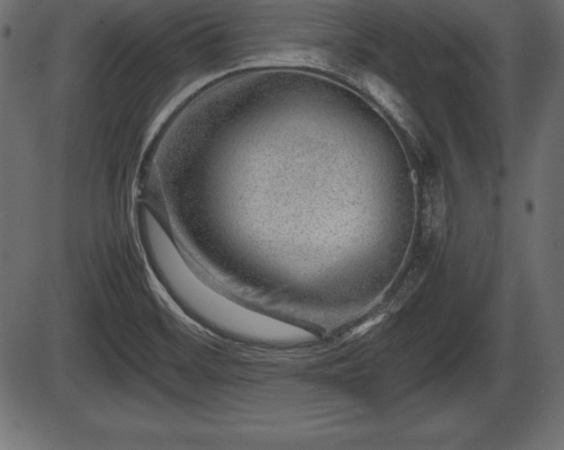 X0000086291468200704090943