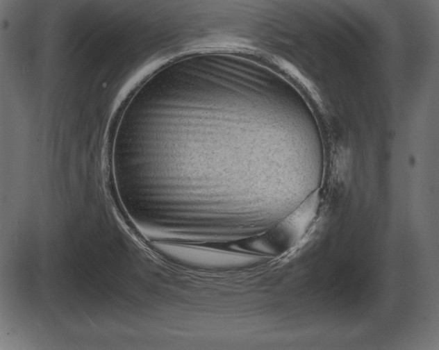 X0000086291469200704090943