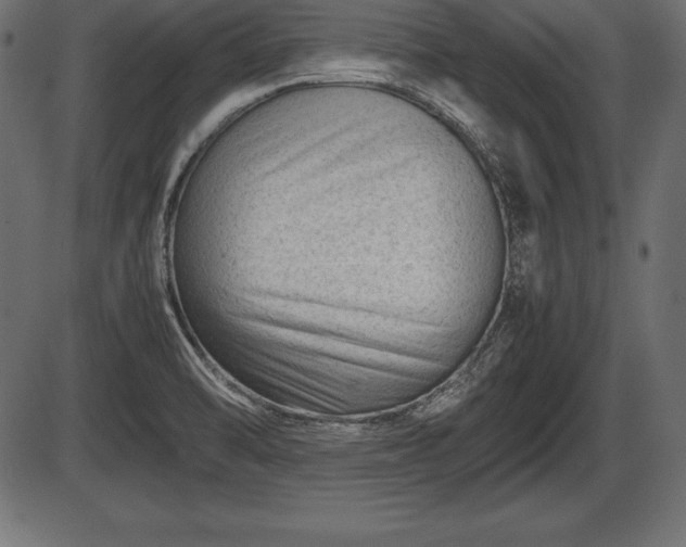 X0000086291470200704090943