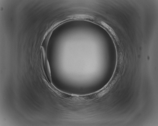 X0000086291473200704090943