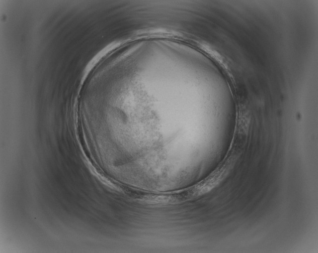 X0000086291474200704090943