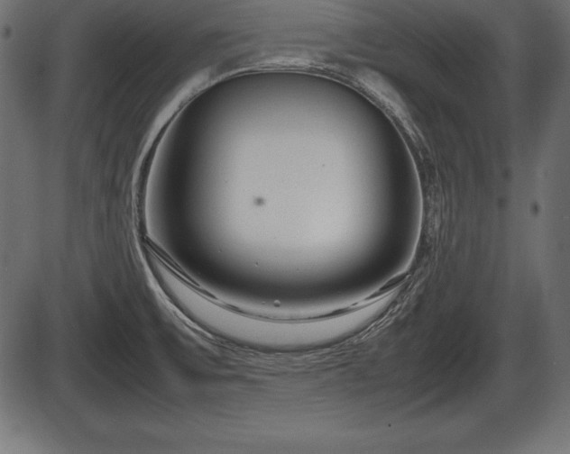 X0000086291475200704090943