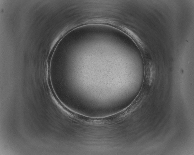 X0000086291476200704090943