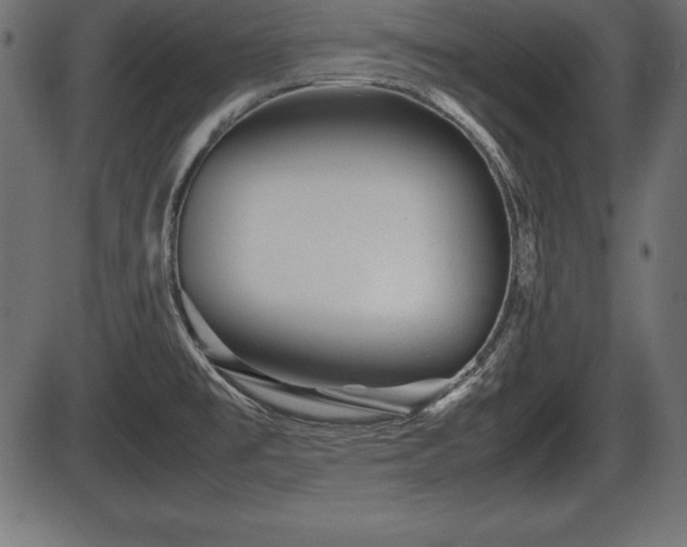 X0000086291477200704090943