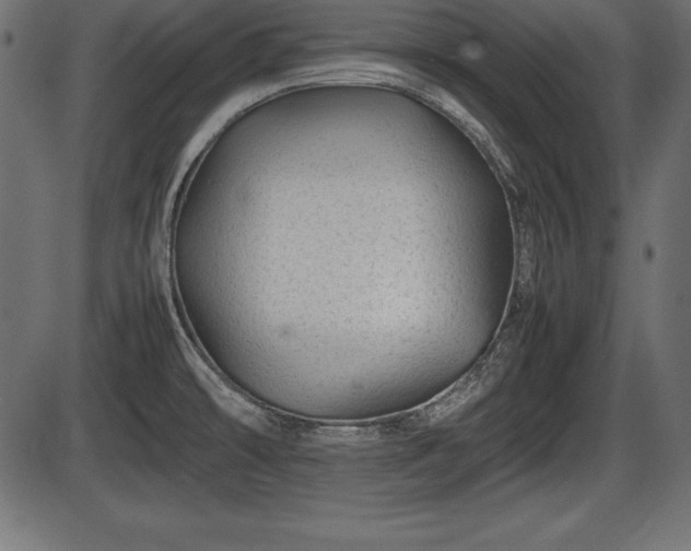 X0000086291478200704090943