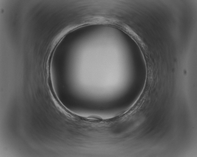 X0000086291479200704090943