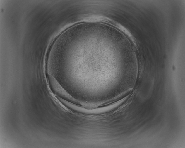 X0000086291480200704090943