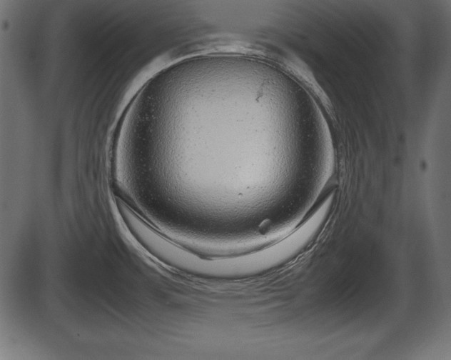 X0000086291483200704090943