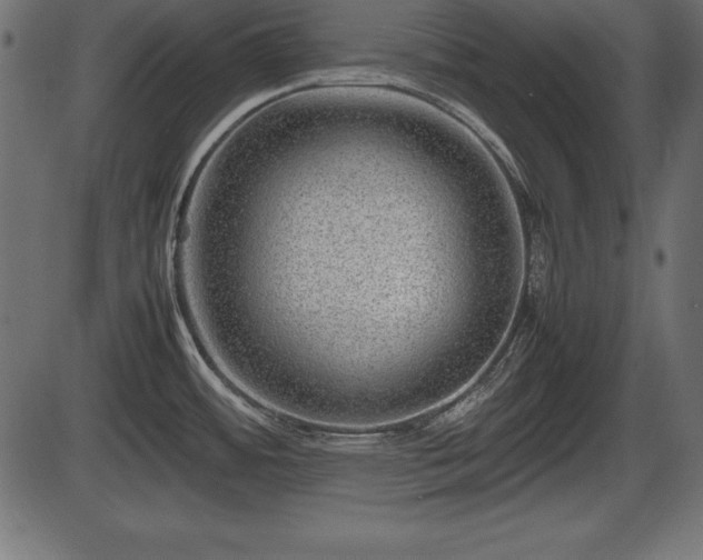 X0000086291484200704090943