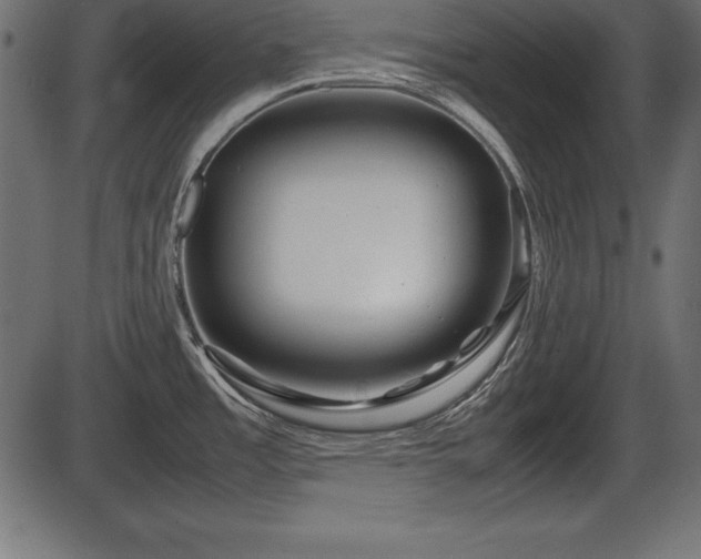 X0000086291485200704090943