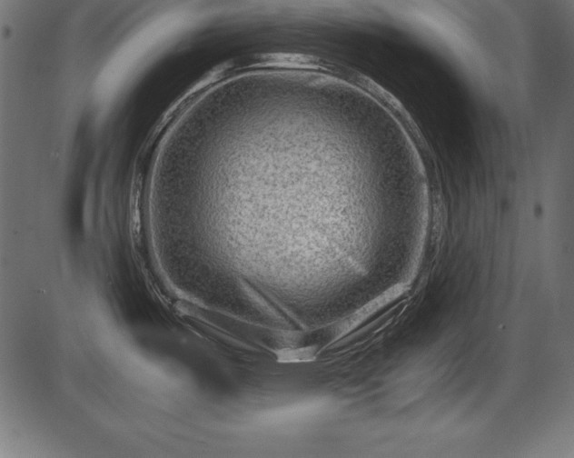 X0000086291487200704090943