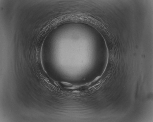 X0000086291490200704090942
